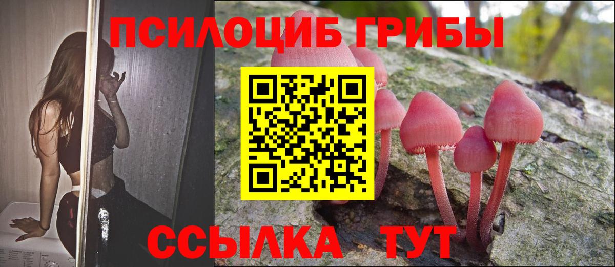 Псилоцибиновые грибы Cubensis Великий Новгород