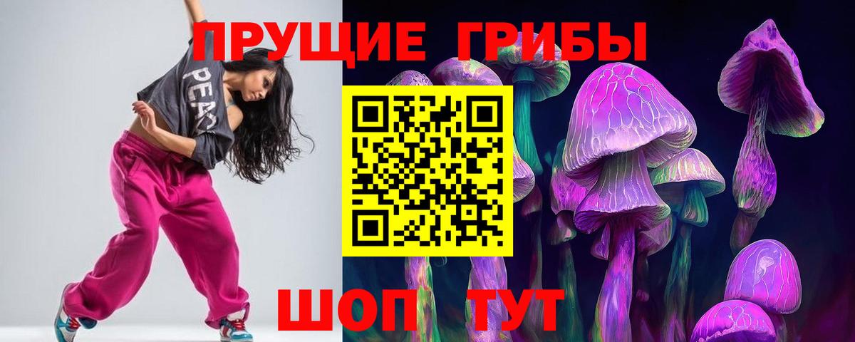 цена   Вход с VPN  Великий Новгород  Галлюциногенные грибы Psilocybe 